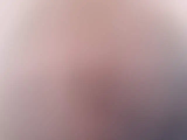 frisbeemaster image 3